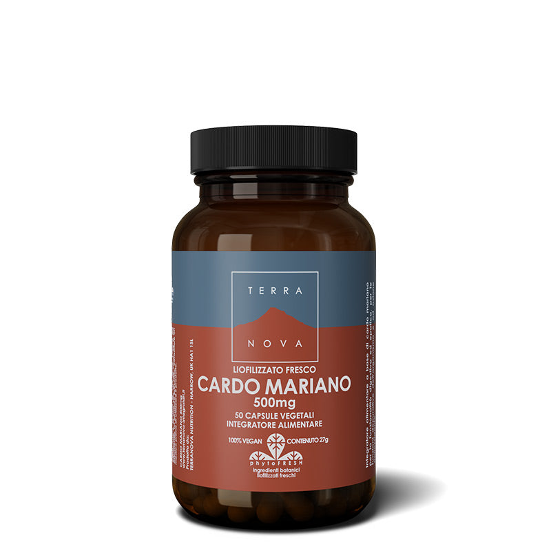 CARDO MARIANO