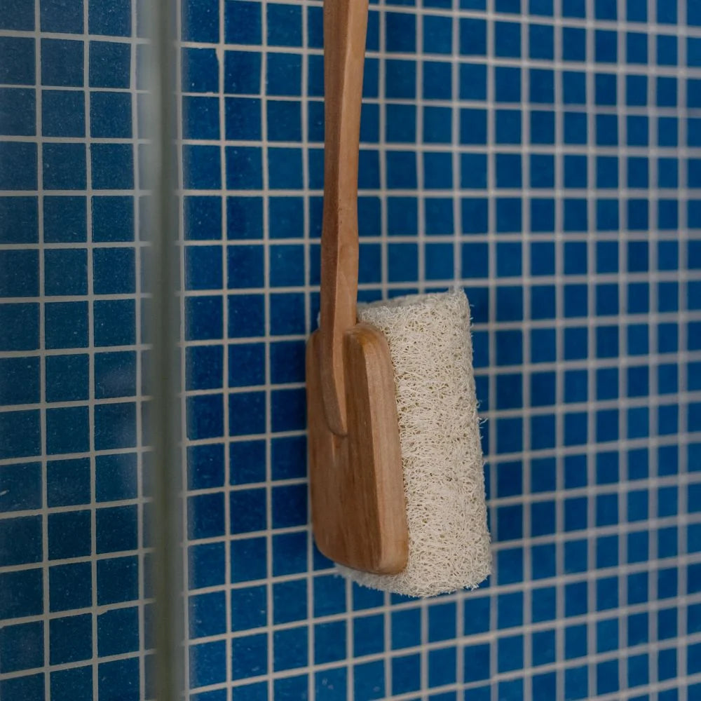 Spazzola di luffa