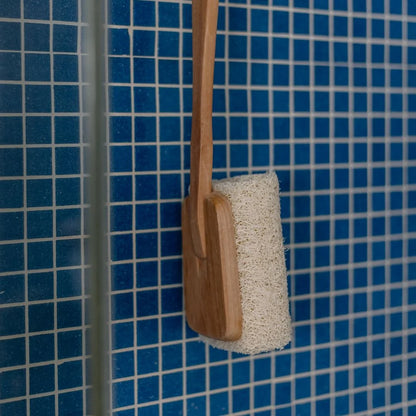 Spazzola di luffa