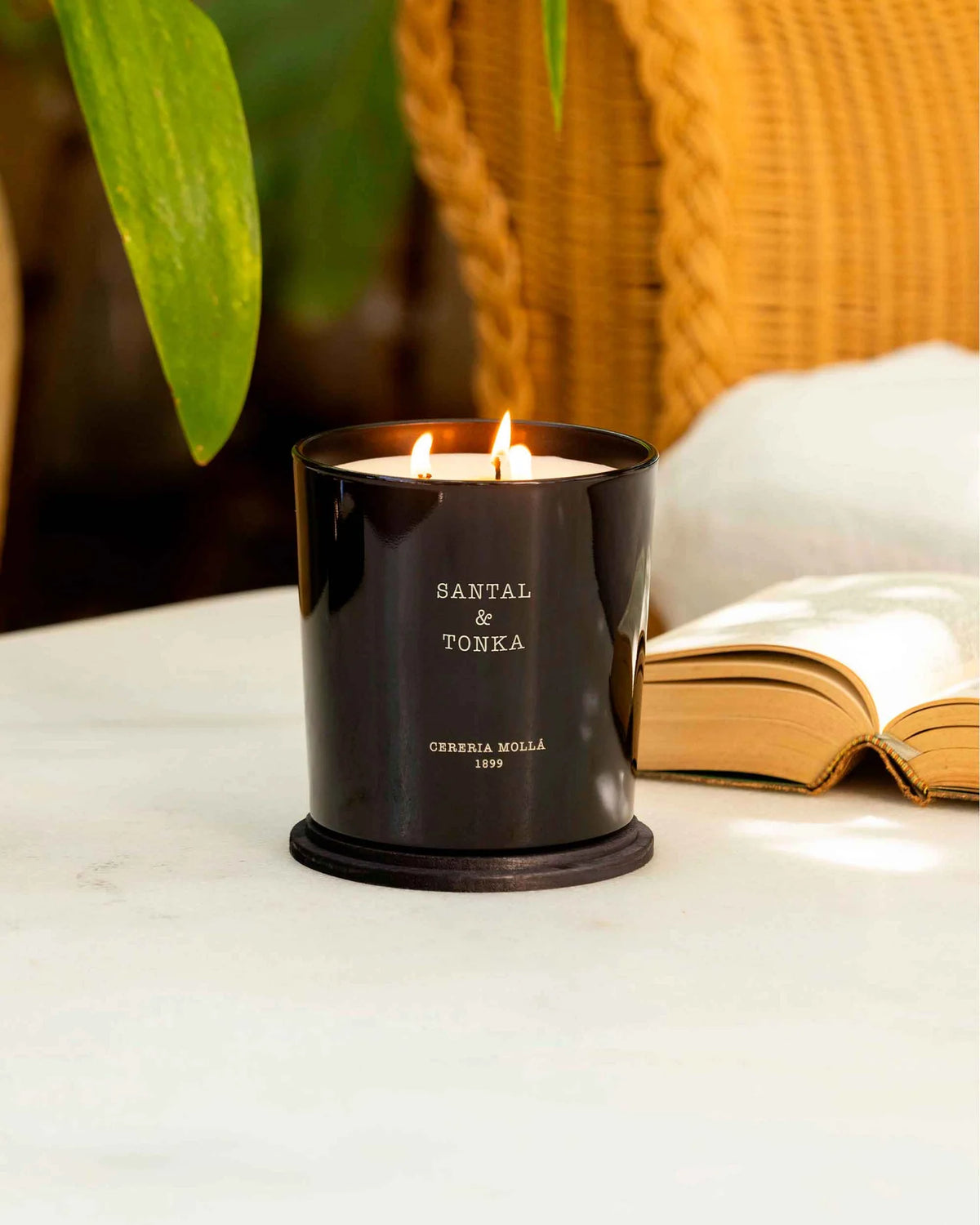Candela di sandalo & tonka XL
72,00€
